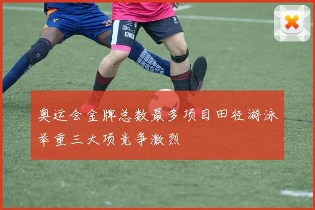奥运会金牌总数最多项目田径游泳举重三大项竞争激烈