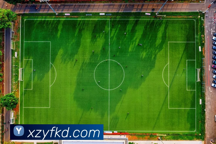 星空手机在线登录平台生态图